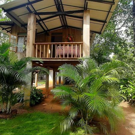 Ruk Sewana Villa Tree House 锡吉里亚 外观 照片