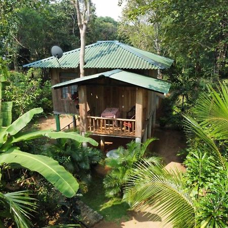 Ruk Sewana Villa Tree House 锡吉里亚 外观 照片