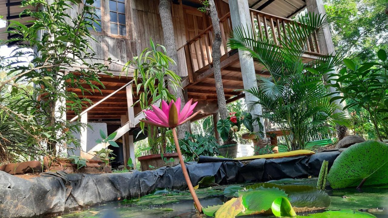 Ruk Sewana Villa Tree House 锡吉里亚 外观 照片