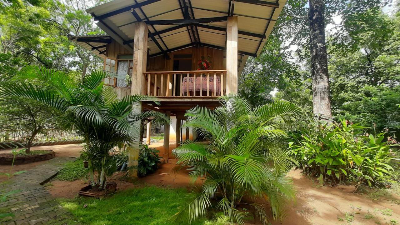 Ruk Sewana Villa Tree House 锡吉里亚 外观 照片