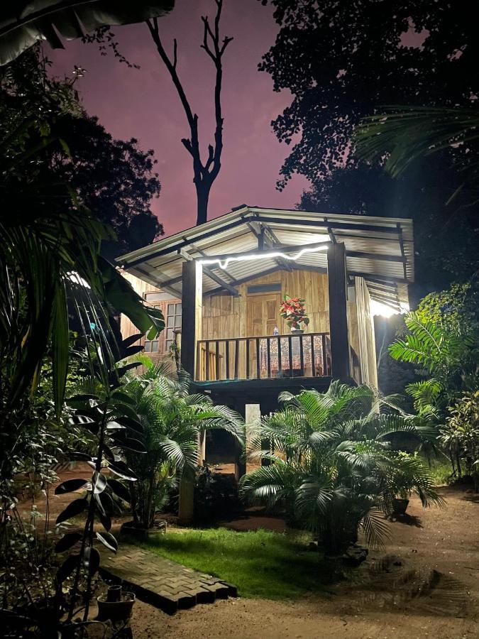 Ruk Sewana Villa Tree House 锡吉里亚 外观 照片