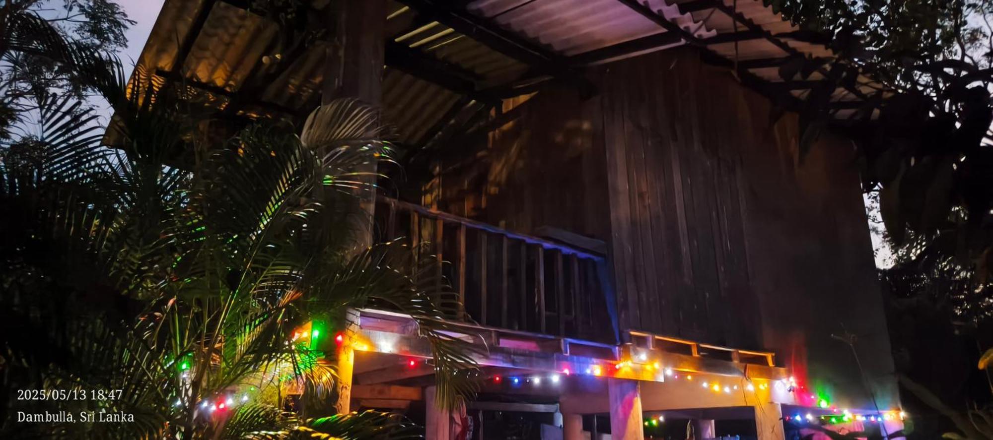 Ruk Sewana Villa Tree House 锡吉里亚 外观 照片